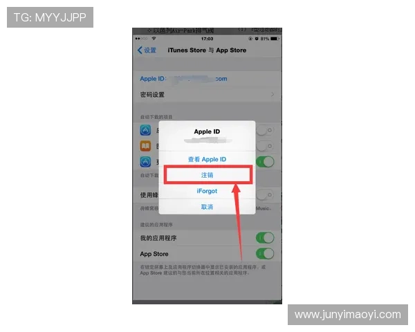 壹号国际app官网入口登录地址,苹果手机用户便捷下载安装步骤详解 壹号国际app官网入口登录地址,苹果手机用户便捷下载安装步骤详解
