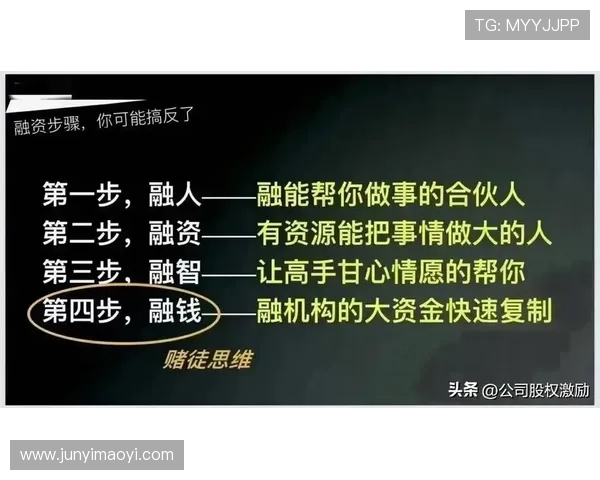壹号官网最新作品全面解析，带你了解每一部精彩内容