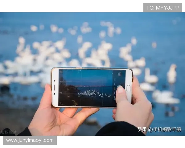 壹号平台登录方法全流程解析，确保用户轻松掌握登录技巧